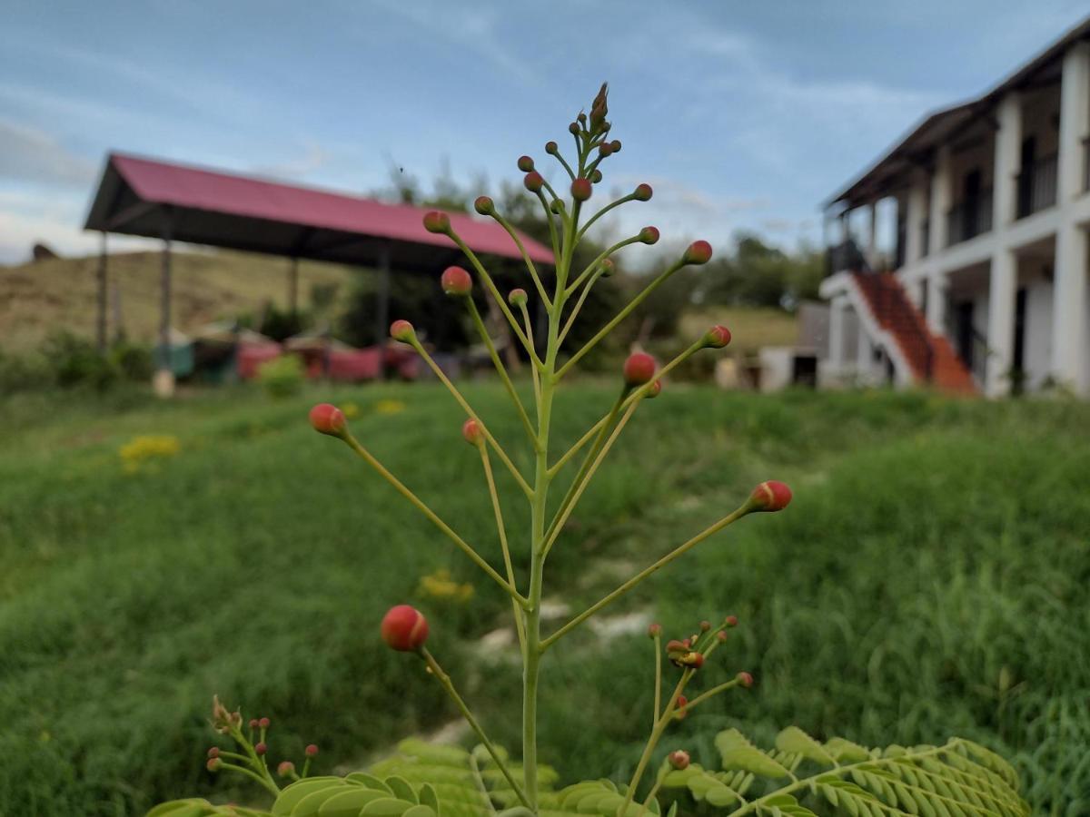 Cosmos Tatacoa Hotel Villavieja Dış mekan fotoğraf